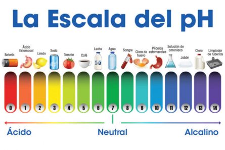 C Lculo De Ph Y Poh Qu Mica En Casa Com