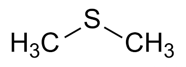  dimetilsulfuro (DMS)