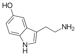 Serotonina